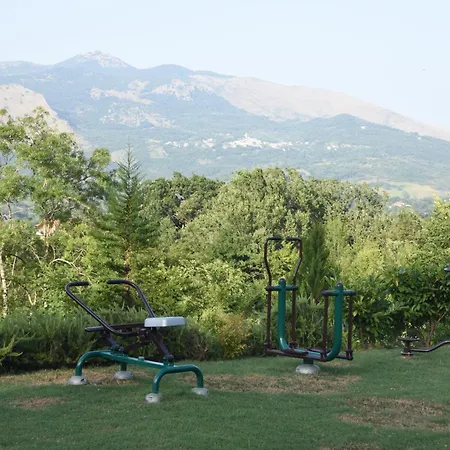 Bosco D'olmi *