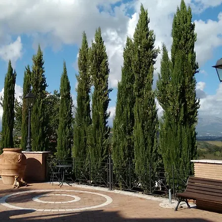 Bosco D'olmi